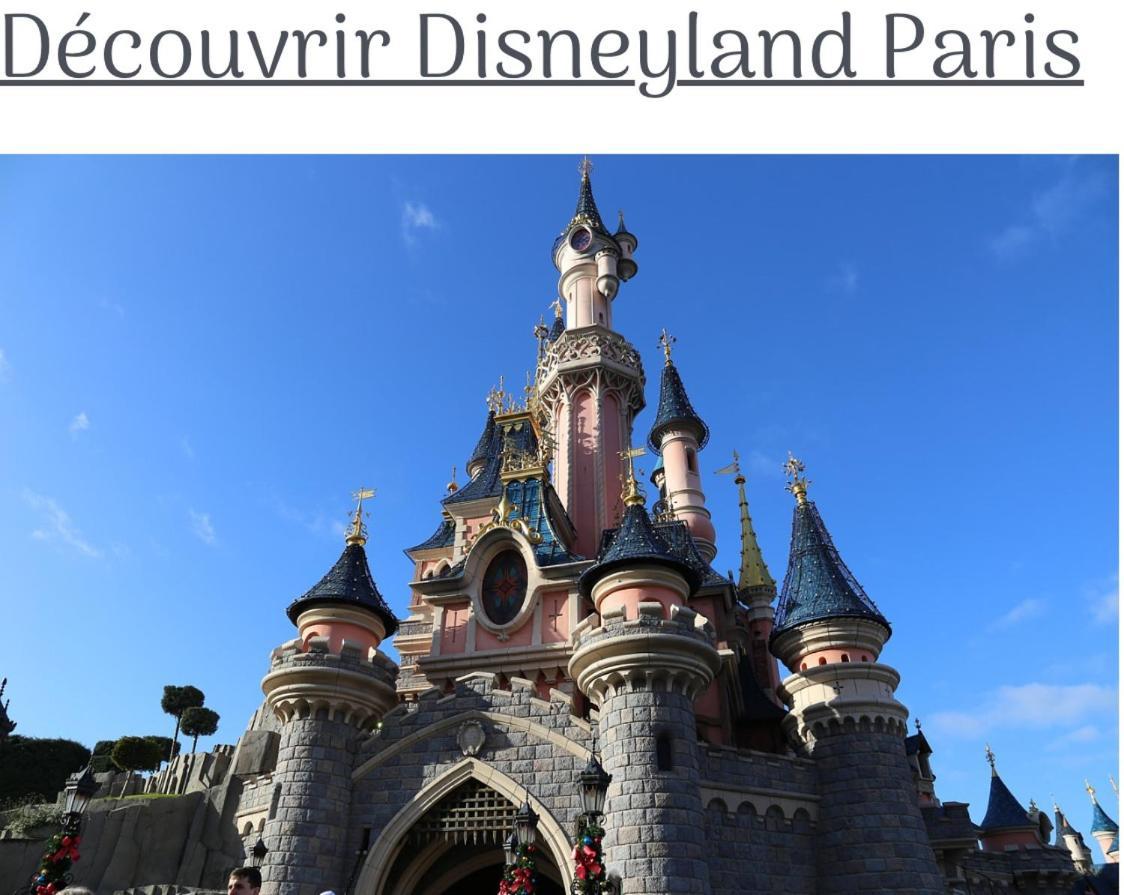 Proche Paris Et Disney-Calme Absolu Vaires-sur-Marne Bagian luar foto